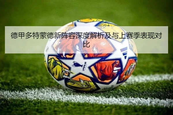 德甲多特蒙德新阵容深度解析及与上赛季表现对比